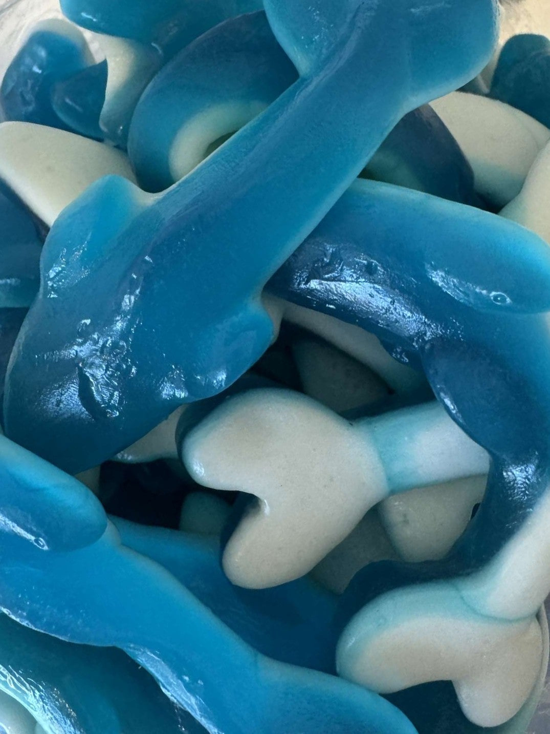 Blue Raspberry Dolphins